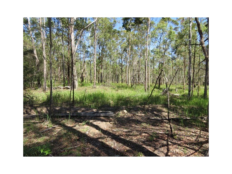 Lot 341 Kangaroo Creek Road, Kangaroo Creek NSW 2460
