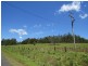 Lot 341 Kangaroo Creek Road, Kangaroo Creek NSW 2460