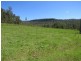 Lot 341 Kangaroo Creek Road, Kangaroo Creek NSW 2460