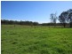 Lot 3 Armidale Road, Braunstone NSW 2460