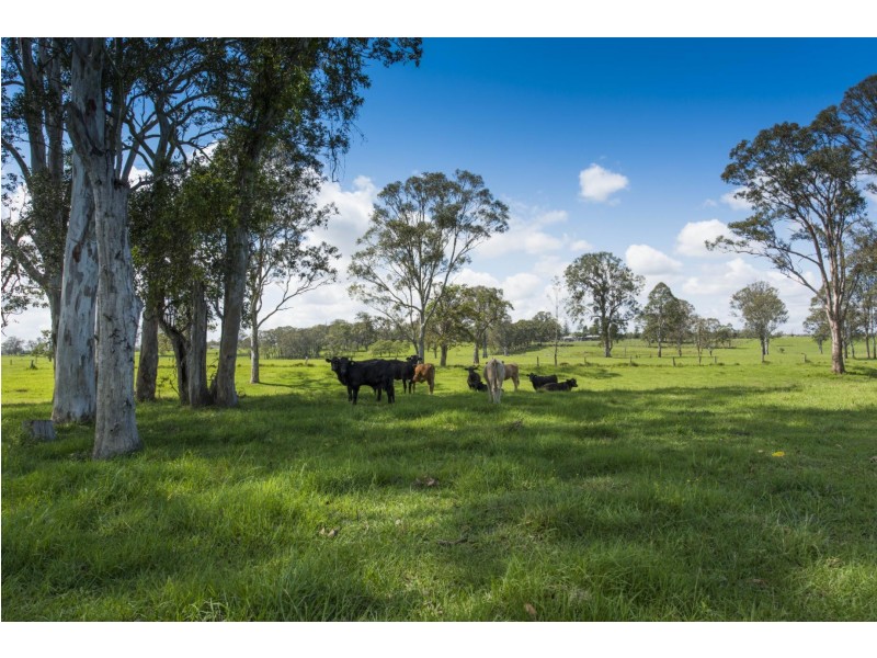 145 Levenstrath Road, Levenstrath NSW 2460