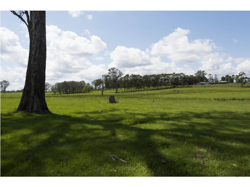 145 Levenstrath Road, Levenstrath NSW 2460