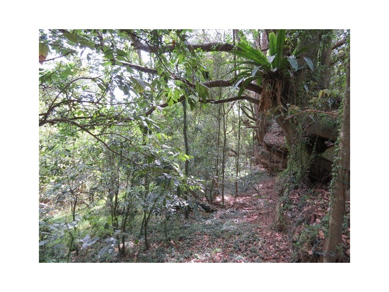 Lot 58 Ryans Gully Lane, Eatonsville NSW 2460