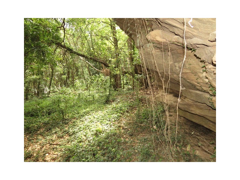 Lot 58 Ryans Gully Lane, Eatonsville NSW 2460