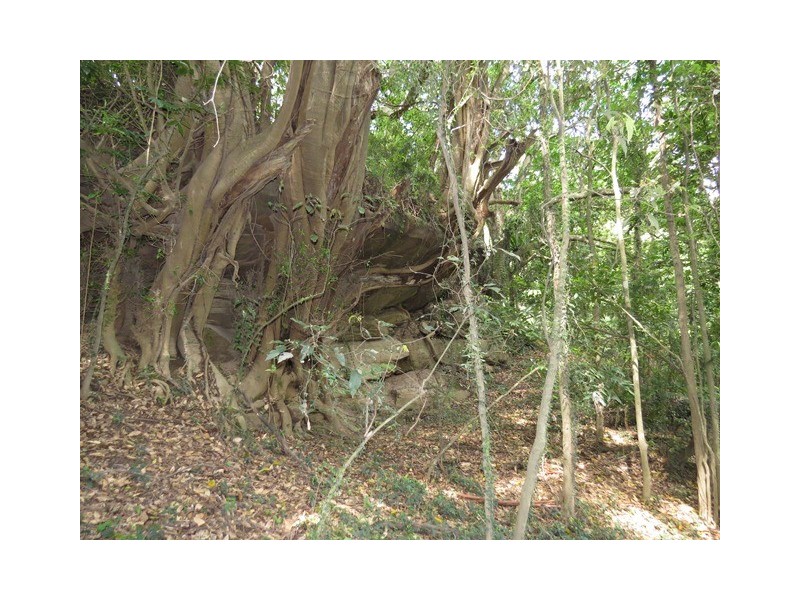 Lot 58 Ryans Gully Lane, Eatonsville NSW 2460