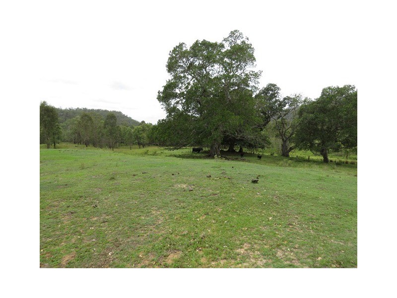. Armidale Road, Blaxlands Creek NSW 2460