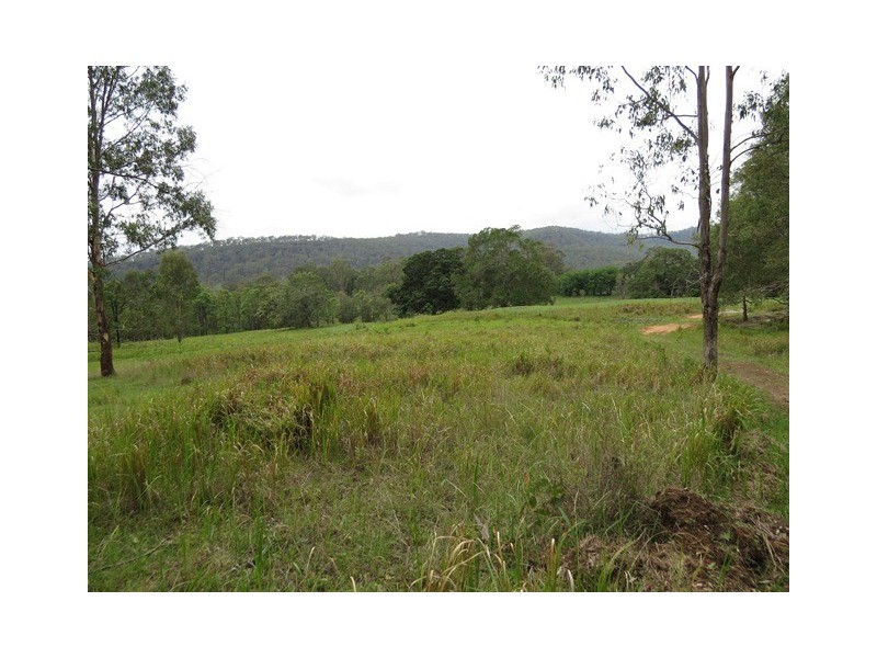 . Armidale Road, Blaxlands Creek NSW 2460