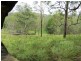 . Armidale Road, Blaxlands Creek NSW 2460