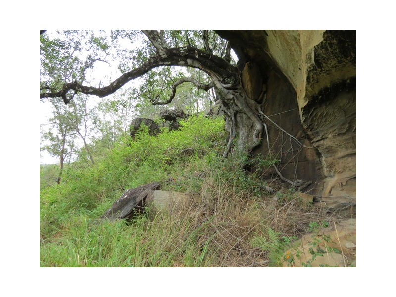 . Armidale Road, Blaxlands Creek NSW 2460
