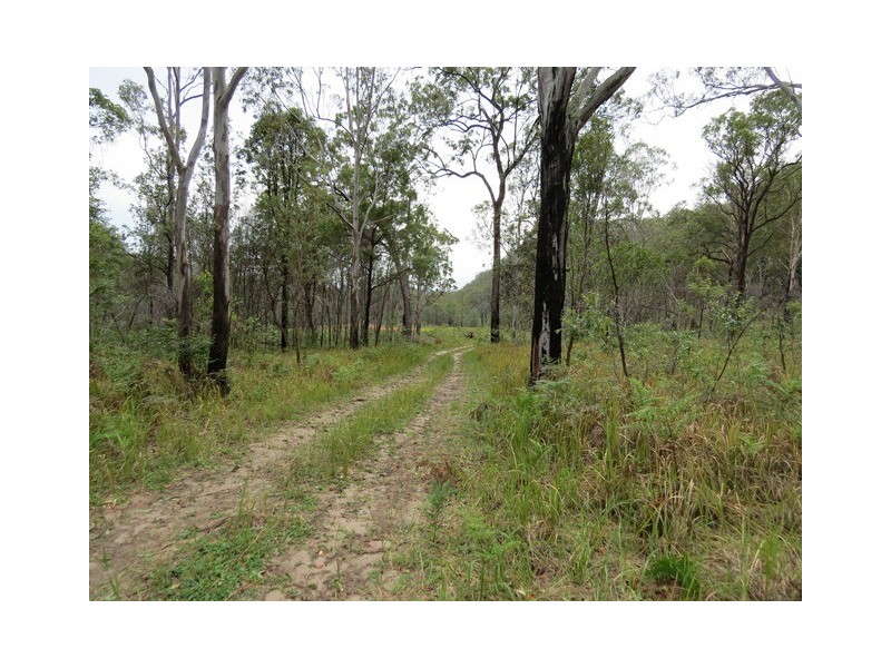. Armidale Road, Blaxlands Creek NSW 2460