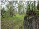 . Armidale Road, Blaxlands Creek NSW 2460