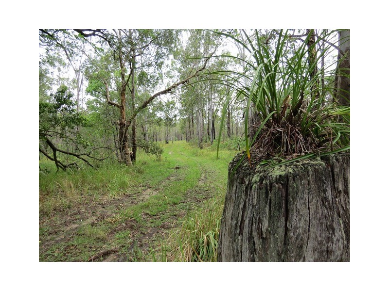 . Armidale Road, Blaxlands Creek NSW 2460