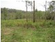 . Armidale Road, Blaxlands Creek NSW 2460
