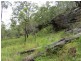 . Armidale Road, Blaxlands Creek NSW 2460