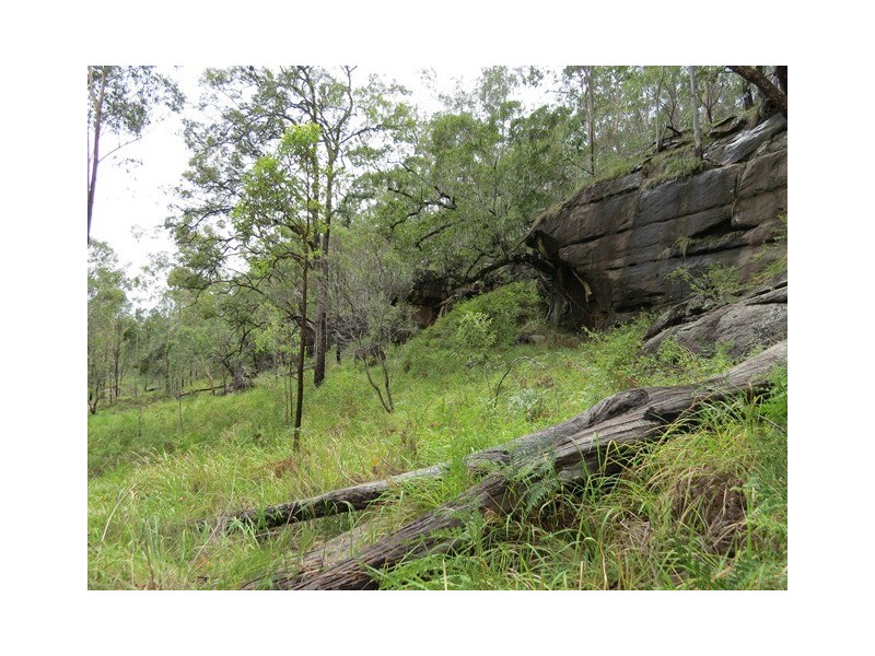 . Armidale Road, Blaxlands Creek NSW 2460