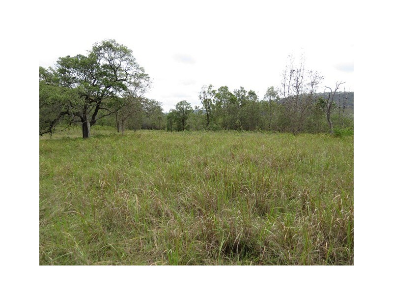 . Armidale Road, Blaxlands Creek NSW 2460