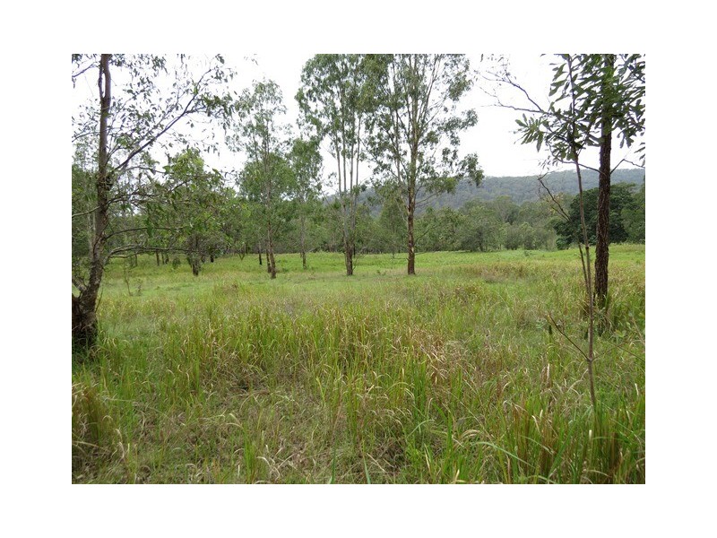 . Armidale Road, Blaxlands Creek NSW 2460
