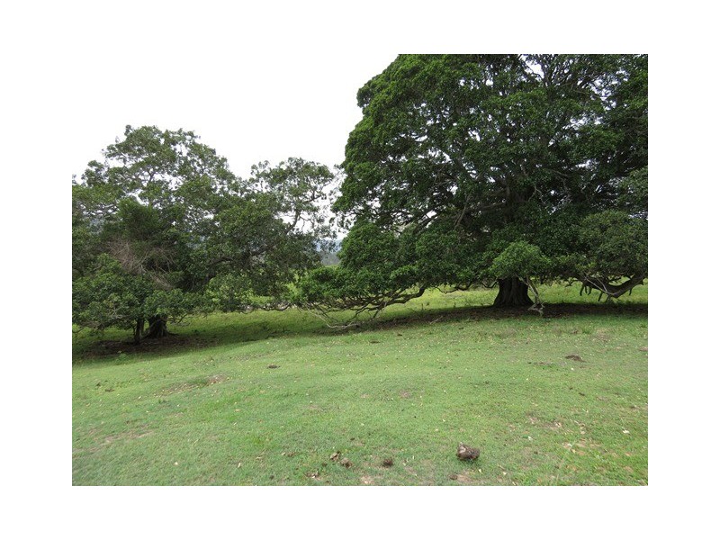. Armidale Road, Blaxlands Creek NSW 2460
