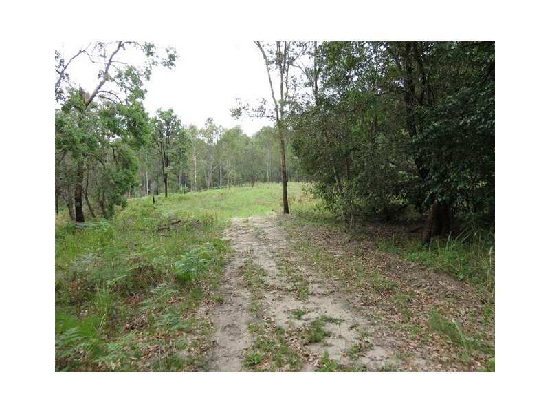 . Armidale Road, Blaxlands Creek NSW 2460