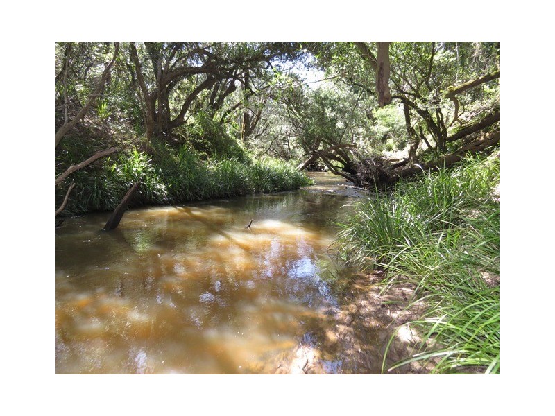 1412 Clarence Way, Whiteman Creek NSW 2460