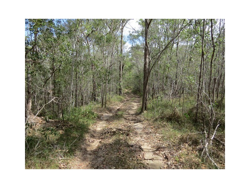 1412 Clarence Way, Whiteman Creek NSW 2460