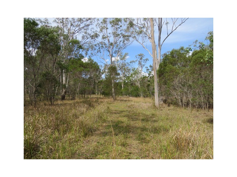 1412 Clarence Way, Whiteman Creek NSW 2460