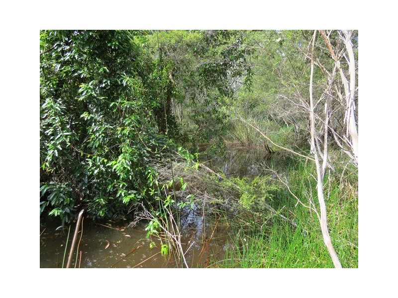 1412 Clarence Way, Whiteman Creek NSW 2460