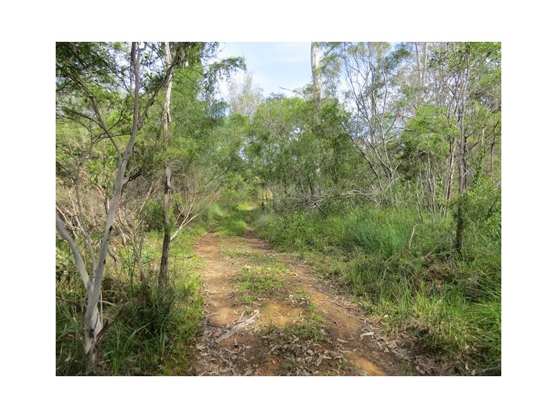 1412 Clarence Way, Whiteman Creek NSW 2460