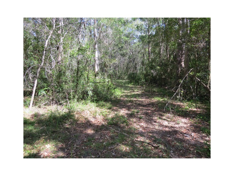 1412 Clarence Way, Whiteman Creek NSW 2460