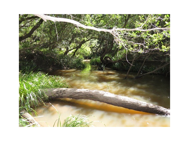 1412 Clarence Way, Whiteman Creek NSW 2460