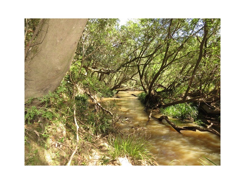 1412 Clarence Way, Whiteman Creek NSW 2460