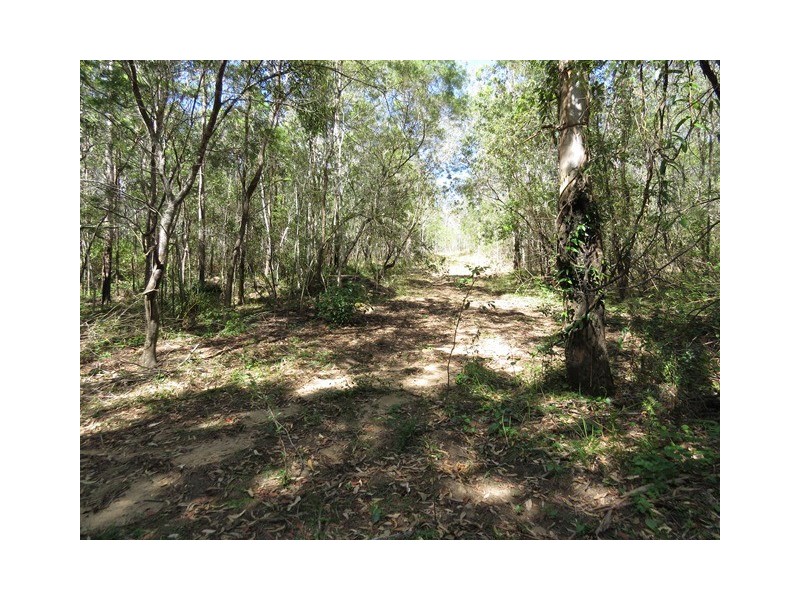 1412 Clarence Way, Whiteman Creek NSW 2460