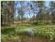 2558 Clarence Way, Upper Copmanhurst NSW 2460