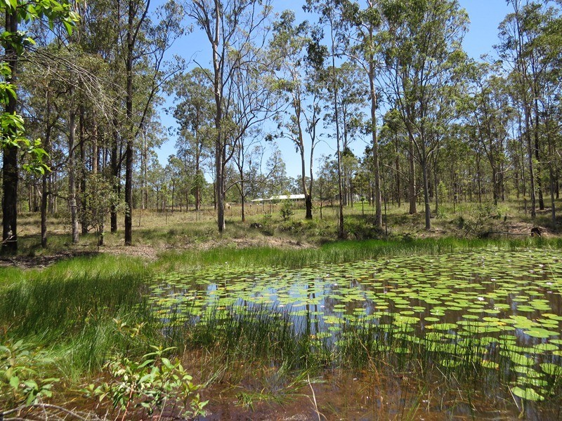 2558 Clarence Way, Upper Copmanhurst NSW 2460