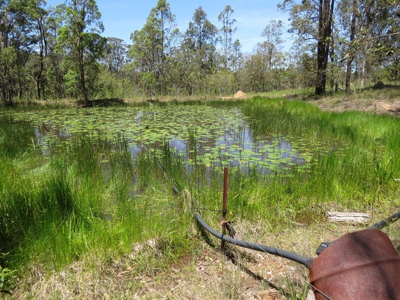 2558 Clarence Way, Upper Copmanhurst NSW 2460