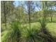 2558 Clarence Way, Upper Copmanhurst NSW 2460