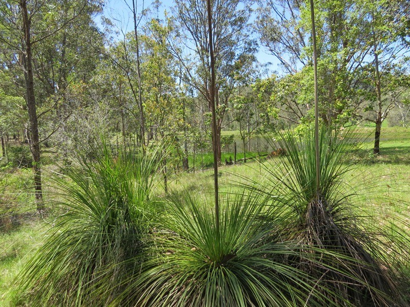 2558 Clarence Way, Upper Copmanhurst NSW 2460