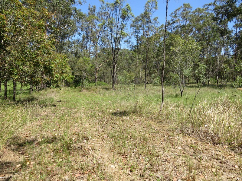 2558 Clarence Way, Upper Copmanhurst NSW 2460