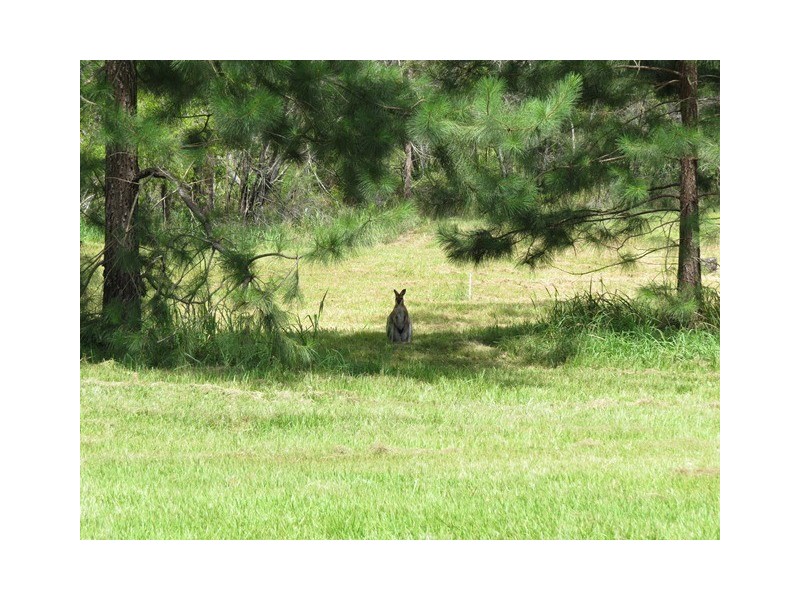 132 Sandstone Drive, Kungala NSW 2460