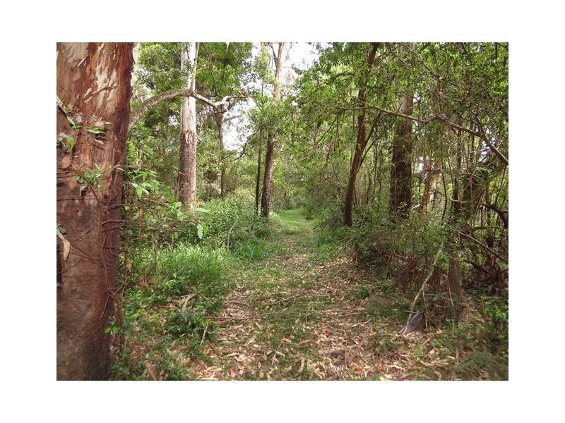 132 Sandstone Drive, Kungala NSW 2460