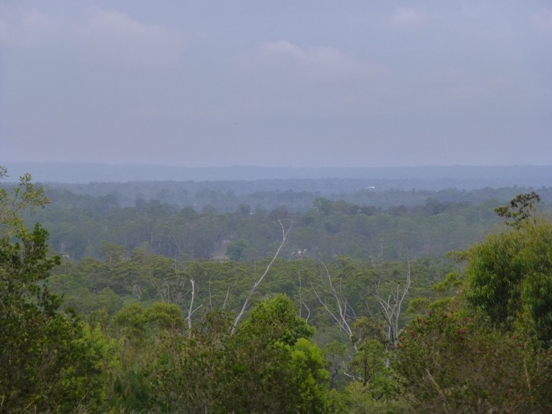 5 Ayre Close, The Pinnacles NSW 2460