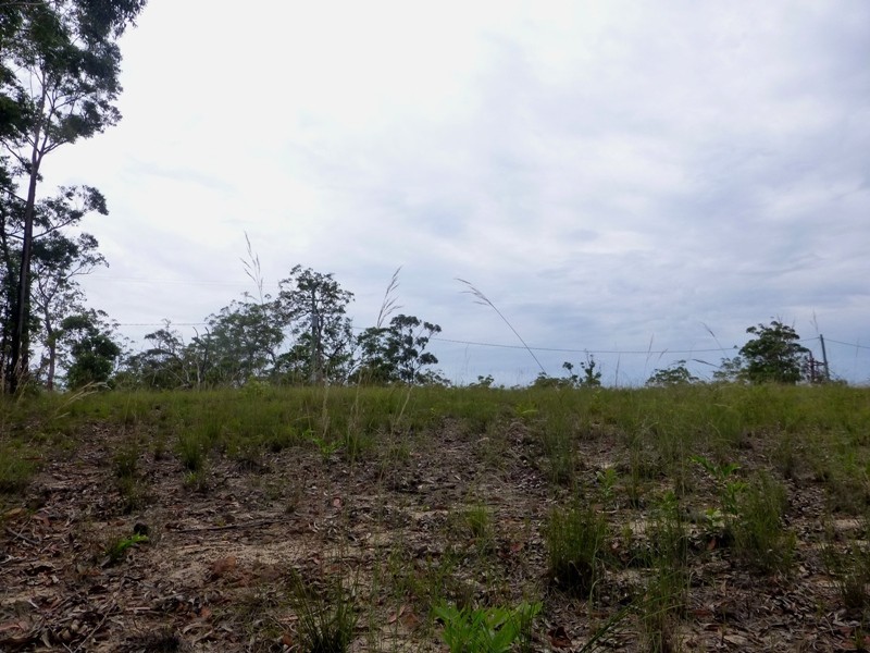 5 Ayre Close, The Pinnacles NSW 2460