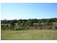772 Old Tenterfield Road, Whiporie NSW 2469