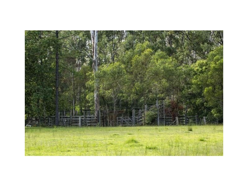 772 Old Tenterfield Road, Whiporie NSW 2469