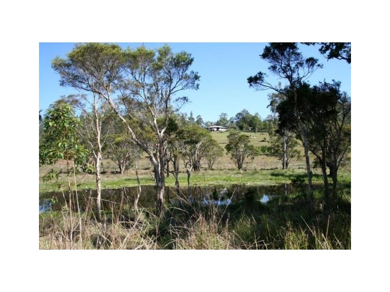 772 Old Tenterfield Road, Whiporie NSW 2469