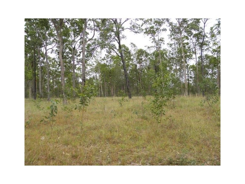 Lot 113/ 2262 Old Tenterfield Road, Rappville NSW 2469