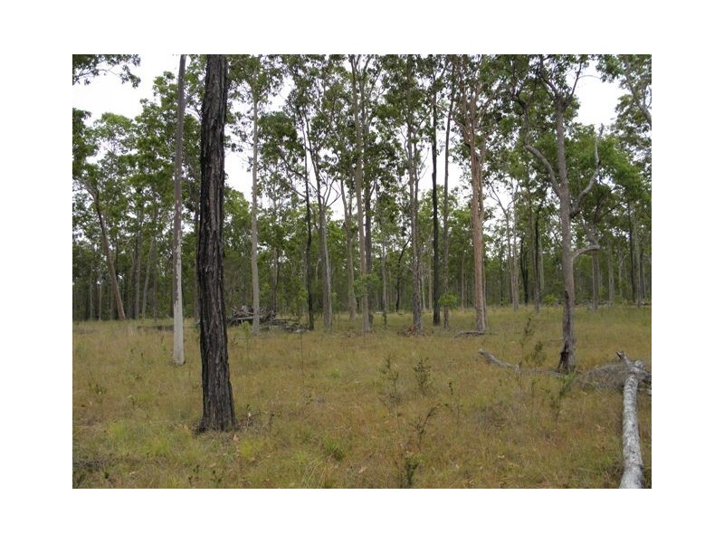 Lot 113/ 2262 Old Tenterfield Road, Rappville NSW 2469