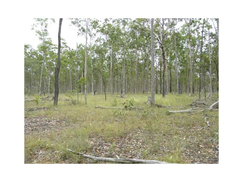 Lot 113/ 2262 Old Tenterfield Road, Rappville NSW 2469