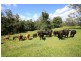2471 Kangaroo Creek Road, Kangaroo Creek NSW 2460