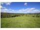 2471 Kangaroo Creek Road, Kangaroo Creek NSW 2460